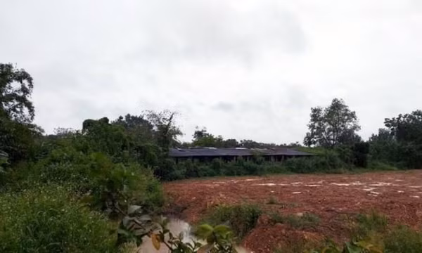 Phát hiện thi thể nam thanh niên trong lò mổ heo