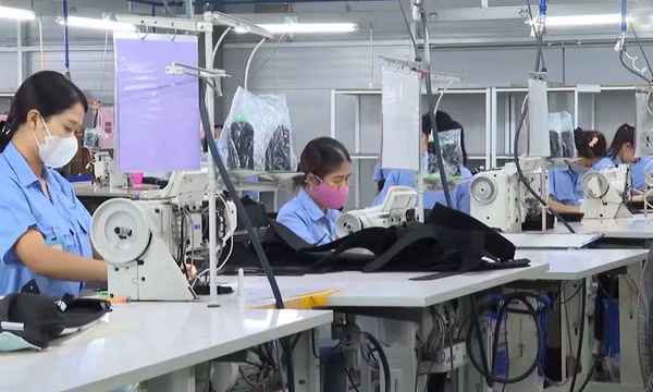 Bản tin vùng Đông Bắc ngày 26/8/2022