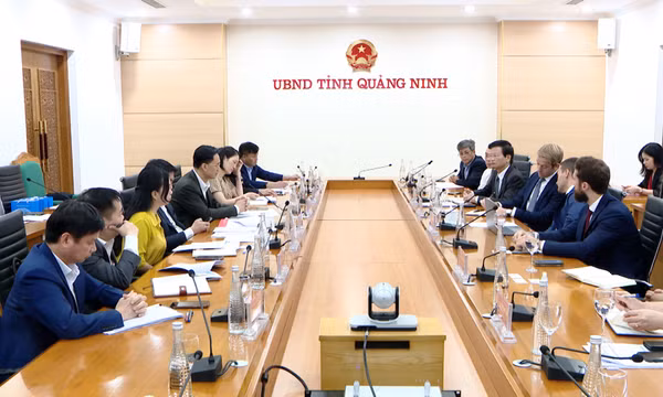 Chủ tịch UBND tỉnh làm việc với doanh nghiệp tìm hiểu cơ hội đầu tư lĩnh vực điện gió ngoài khơi