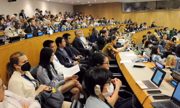 Việt Nam đóng góp tích cực vào đàm phán về đa dạng sinh học ngoài vùng tài phán quốc gia