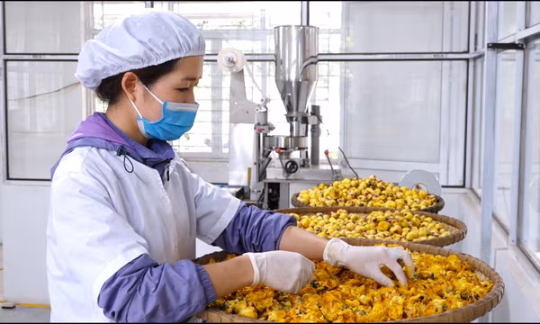 Nghiên cứu, thực hiện các nhiệm vụ KH&CN: Nhiều mô hình có tính ứng dụng cao