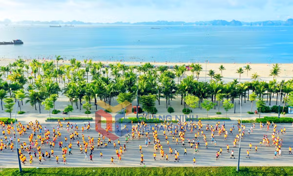 Giải chạy VnExpress Marathon Amazing Ha Long 2022, tháng 8-2022