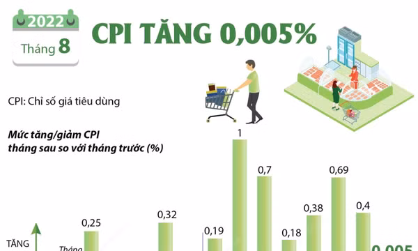 CPI tháng 8/2022 tăng nhẹ 