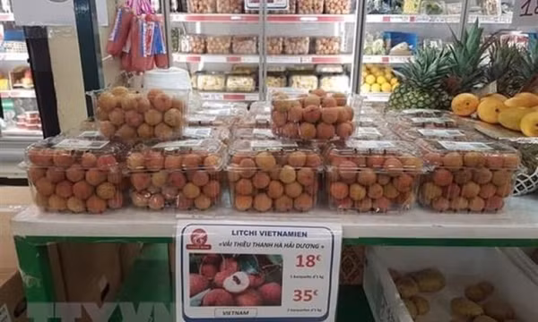 Định danh nông sản Việt trên thị trường thế giới