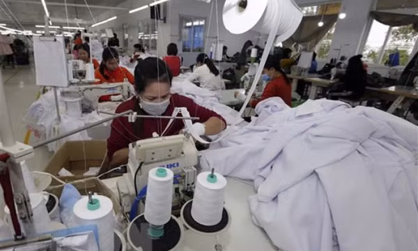 Số doanh nghiệp quay lại hoạt động lên mức cao nhất từ trước tới nay
