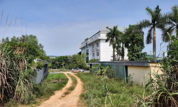 Kiên quyết, xử lý nghiêm các dự án chậm tiến độ, vi phạm pháp luật