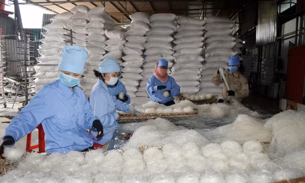 Doanh nghiệp OCOP Cẩm Phả: Đầu tư bài bản, mở rộng sản xuất