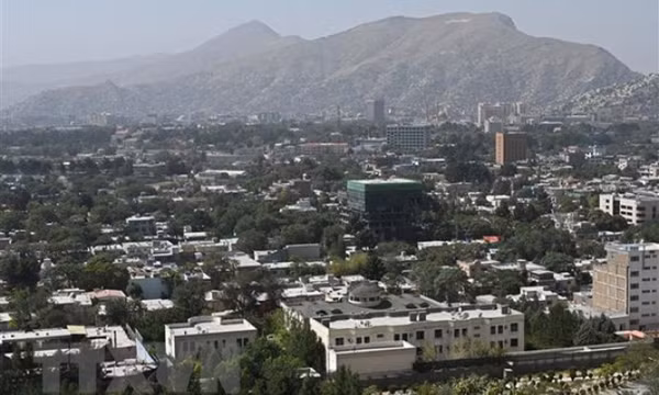 Thủ lĩnh mạng lưới khủng bố al-Qaeda bị tiêu diệt tại Afghanistan