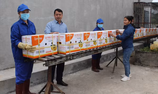 Cam Cao Phong lần đầu xuất ngoại trời Âu