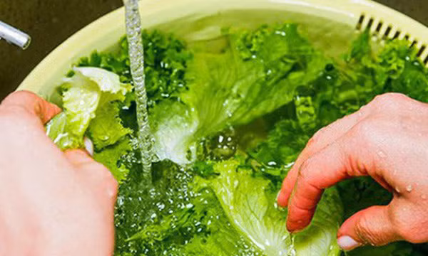 Cách rửa rau sống sạch và an toàn
