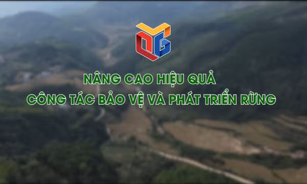 Nâng cao hiệu quả công tác bảo vệ và phát triển rừng