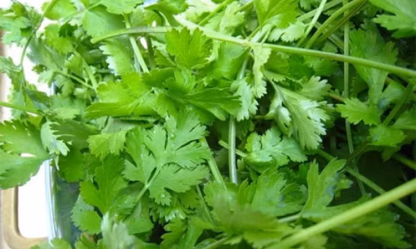 EU gỡ bỏ kiểm soát một số mặt hàng rau gia vị của Việt Nam