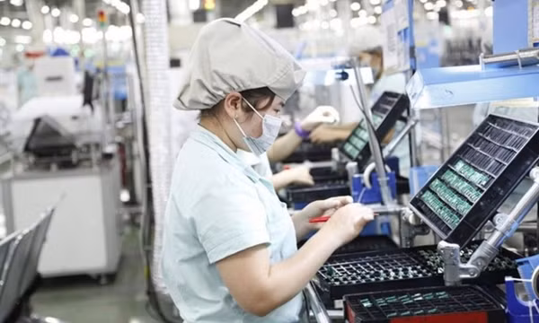 Chính sách mở cửa của Việt Nam thu hút doanh nghiệp Đức