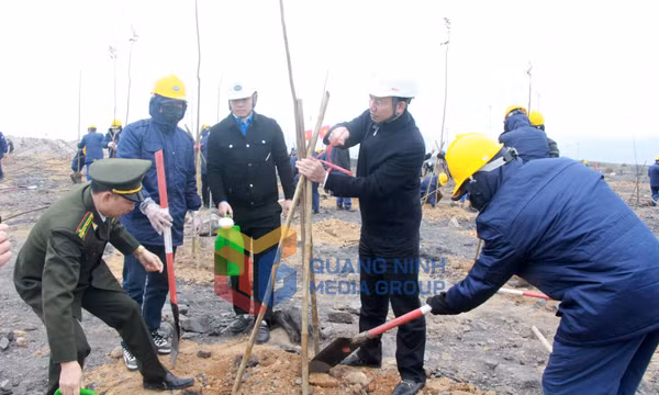 Phát động Tết trồng cây đời đời nhớ ơn Bác Hồ năm 2023 tại mỏ than Đèo Nai