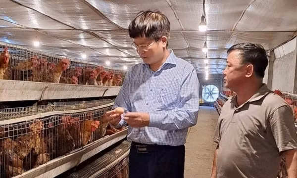 Kỳ vọng một năm sung túc, bội thu