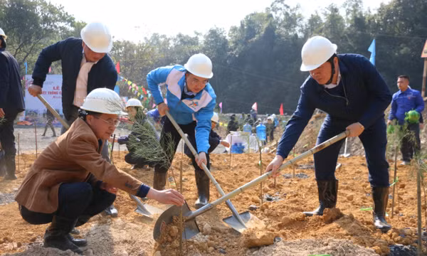 Góp phần cùng cả nước đạt mục tiêu trồng mới 1 tỷ cây xanh 