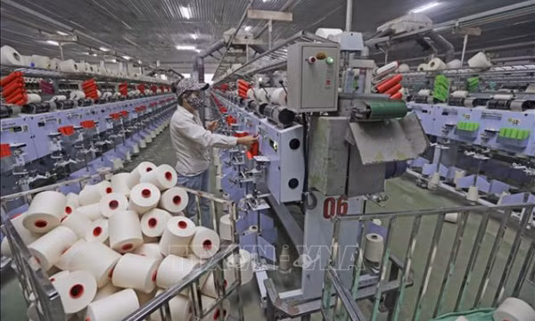 Hỗ trợ doanh nghiệp ứng phó hiệu quả với các biện pháp phòng vệ thương mại