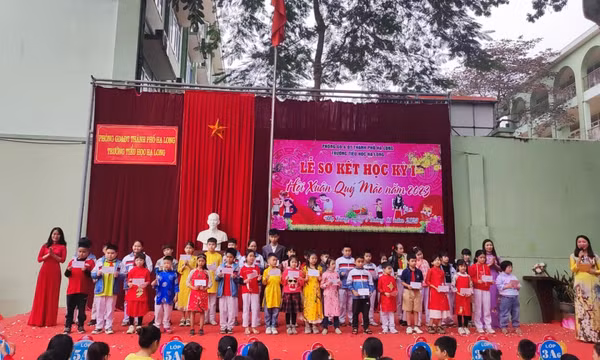 Sôi nổi Ngày hội tiếng Anh tại Trường TH Hạ Long
