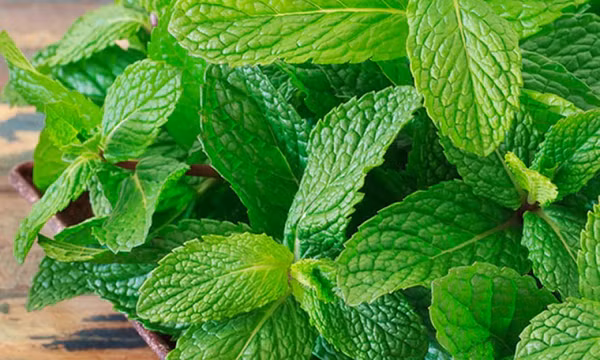 Vì sao ngày Tết cần tăng cường ăn các loại rau thơm?