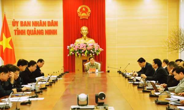UBND tỉnh cho ý kiến về việc triển khai thực hiện kế hoạch thu, chi ngân sách nhà nước năm 2023
