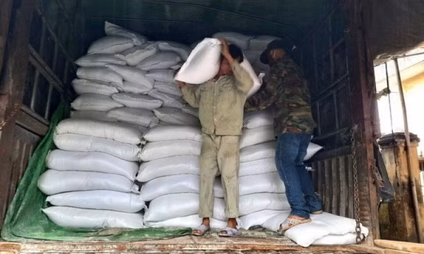 Xuất cấp gạo cho 7 tỉnh dịp Tết Quý Mão và giáp hạt năm 2023