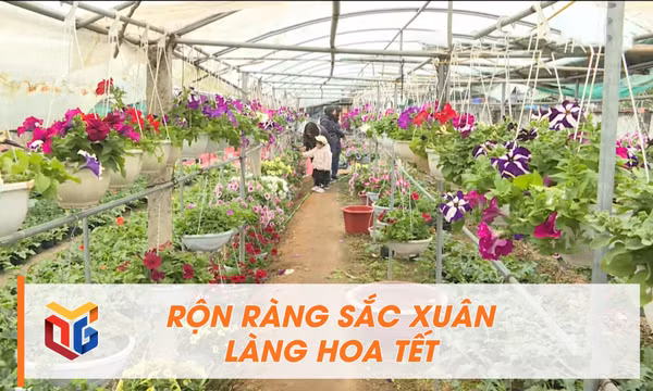 Rộn ràng sắc xuân làng hoa Tết
