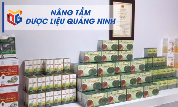 Nâng tầm dược liệu Quảng Ninh