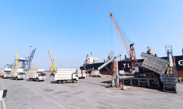 Vững tin năm 2023 nhiều thành công