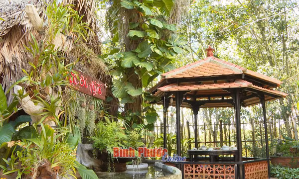 Không gian xanh ở Vạn Quang tự (Bình Phước)