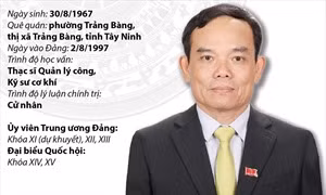 Tiểu sử Phó Thủ tướng Chính phủ nước CHXHCN Việt Nam Trần Lưu Quang