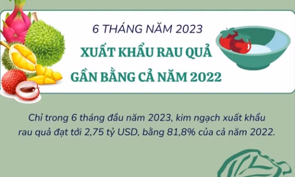 Xuất khẩu rau quả 6 tháng đầu năm 2023 gần bằng cả năm 2022