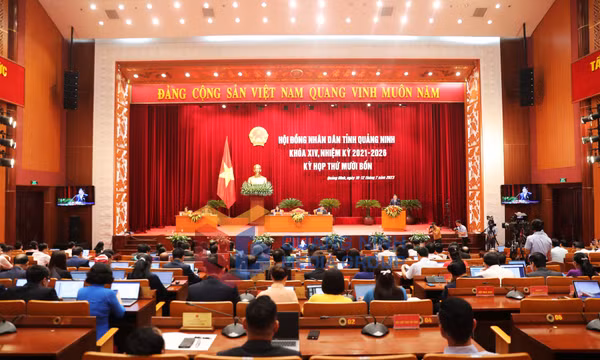 Kỳ họp thứ 14, HĐND tỉnh khóa XIV, nhiệm kỳ 2021-2026, tháng 7-2023