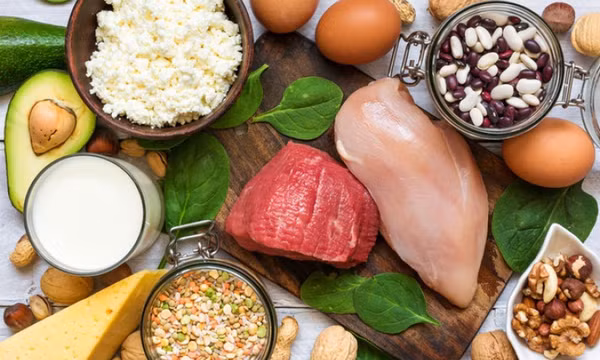 Nên ăn đạm thực vật hay đạm động vật?