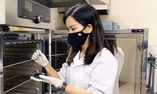 Chiết xuất thực vật quý thành dược mỹ phẩm