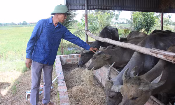 Quảng Yên: Nâng cao chất lượng đời sống nhân dân