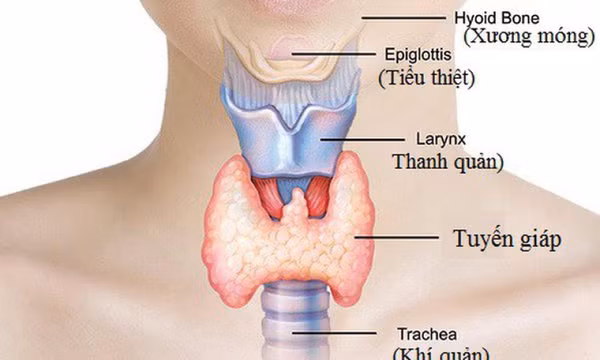 Những bệnh khiến bạn khó giảm cân