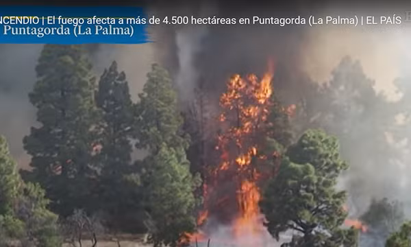 Cháy rừng tại đảo La Palma, Tây Ban Nha: Hơn 2.000 người phải sơ tán