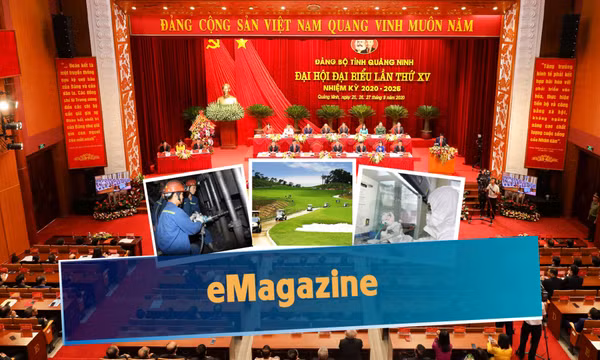 Nửa nhiệm kỳ thực hiện nghị quyết Đại hội XV Đảng bộ tỉnh: Sức mạnh của đoàn kết, trí tuệ, nội lực