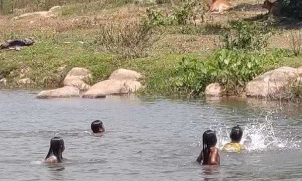 Đi chăn bò thuê, 3 học sinh tắm hồ bị đuối nước tử vong
