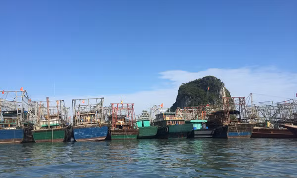 Từ 15 giờ ngày 17/7, tạm ngừng cấp phép cho phương tiện thủy ra khơi