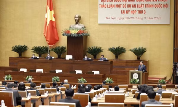 Quốc hội thảo luận về sở hữu trí tuệ, có liên quan Quốc kỳ, Quốc ca