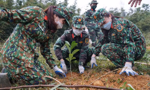 Tuổi trẻ LLVT tỉnh "Thích ứng - xung kích - sáng tạo - quyết thắng”