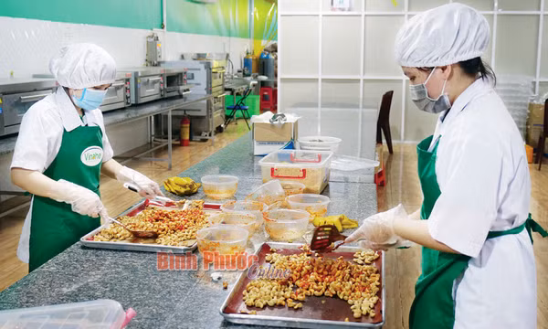 Hạt điều Bình Phước vững bước vươn xa 