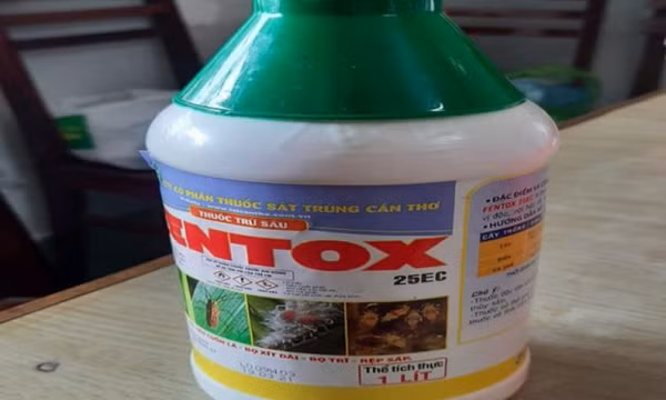 Cha pha thuốc trừ sâu vào nước ngọt cho con uống