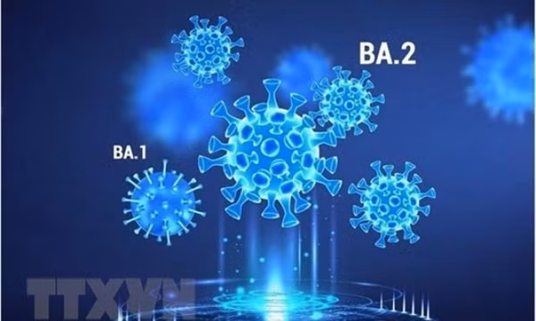 Người nhiễm Omicron có thể lây bệnh cho người khác trong 6 ngày