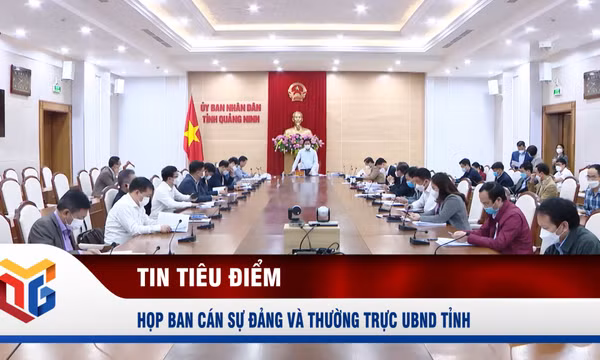 Họp Ban cán sự Đảng và Thường trực UBND tỉnh