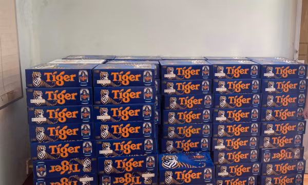 Dựng hiện trường giả bị tai nạn giao thông chiếm đoạt 500 thùng bia