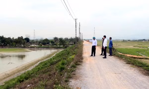 Quan tâm đầu tư nâng cấp tuyến đê Bình Dương - Nguyễn Huệ