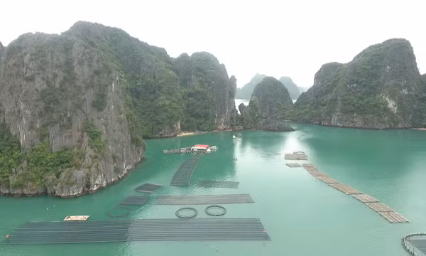  Giao khu vực biển nhất định cho tổ chức, cá nhân - Vì sao khó triển khai?