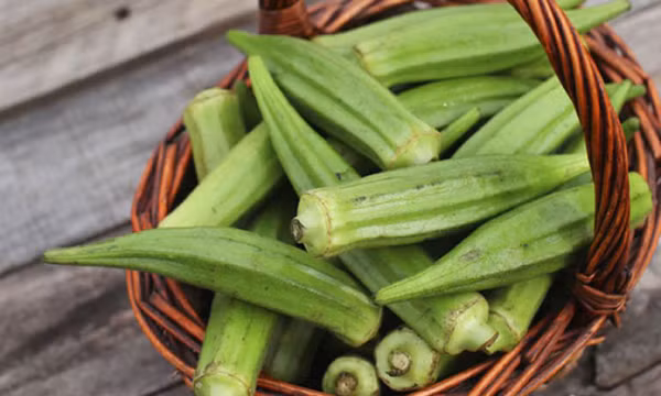 Đậu bắp - "Vũ khí" mới loại bỏ vi nhựa trong nước